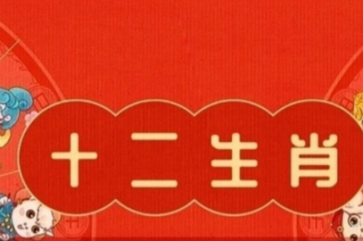 澳门六合助手，新奥2025挑码助手