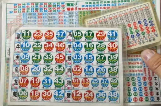 2026港六今晚开奖号码，2026港六今晚开奖号码是多少